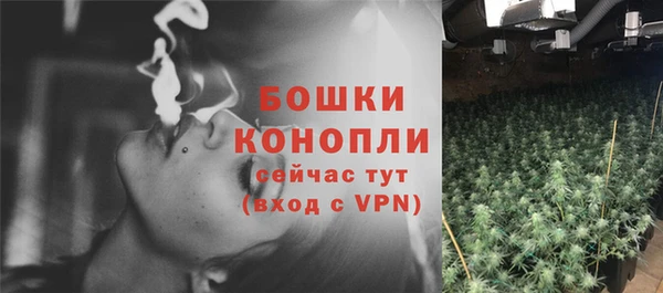 spice Вяземский