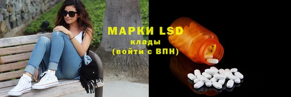 spice Вяземский